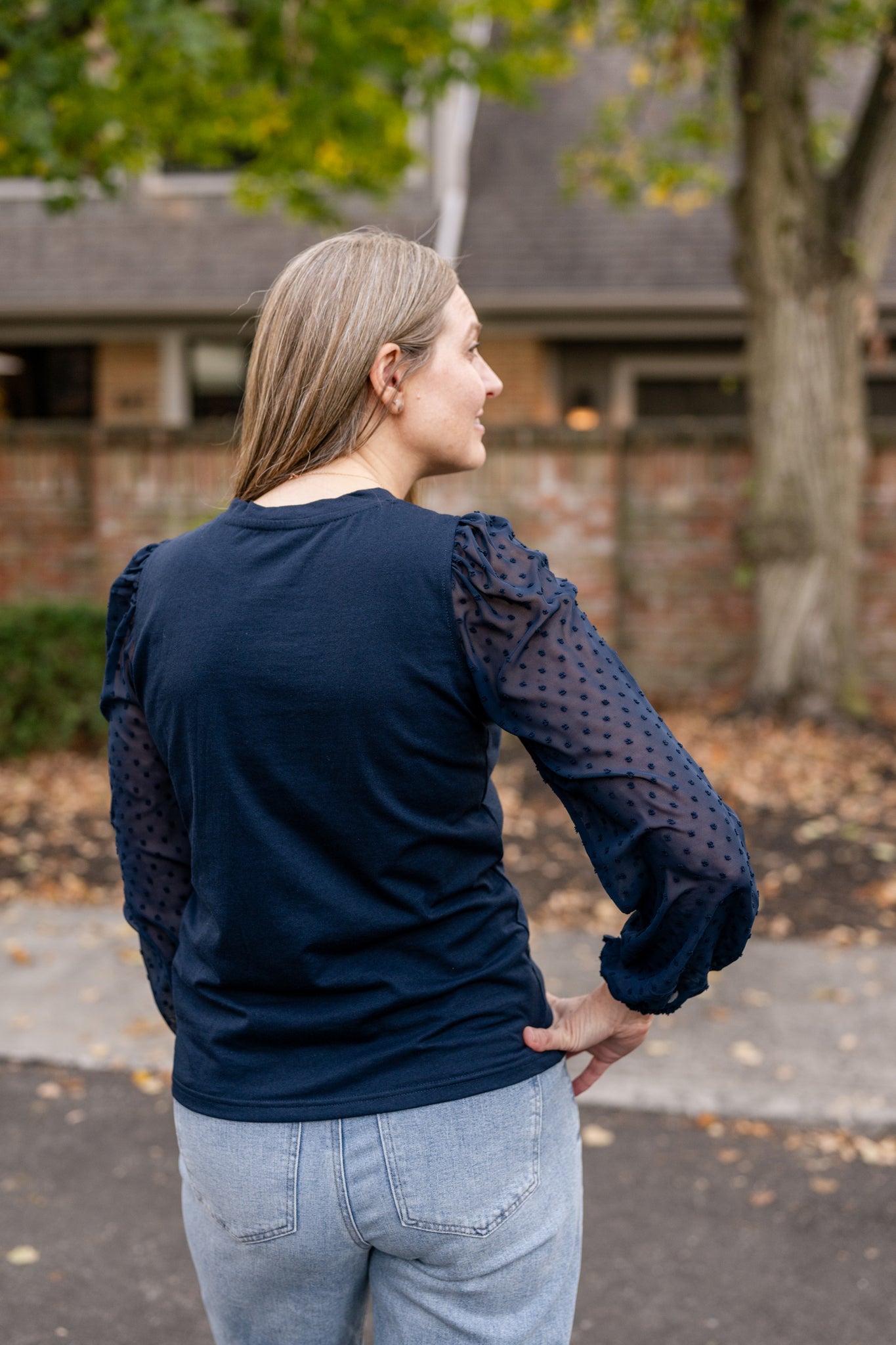 Sheer Swiss Dot Sleeve Top